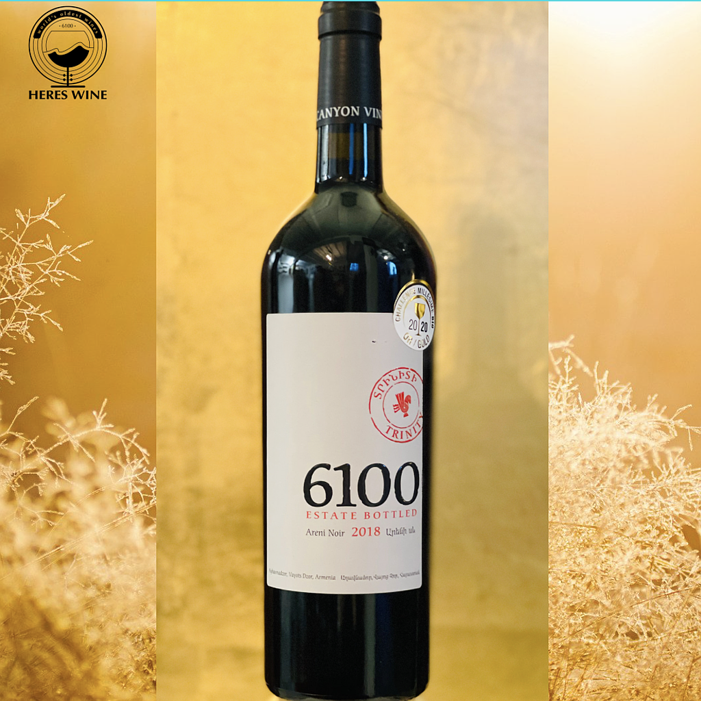 TRINITY 6100 Areni Noir Red Dry Organic Wine 2018
